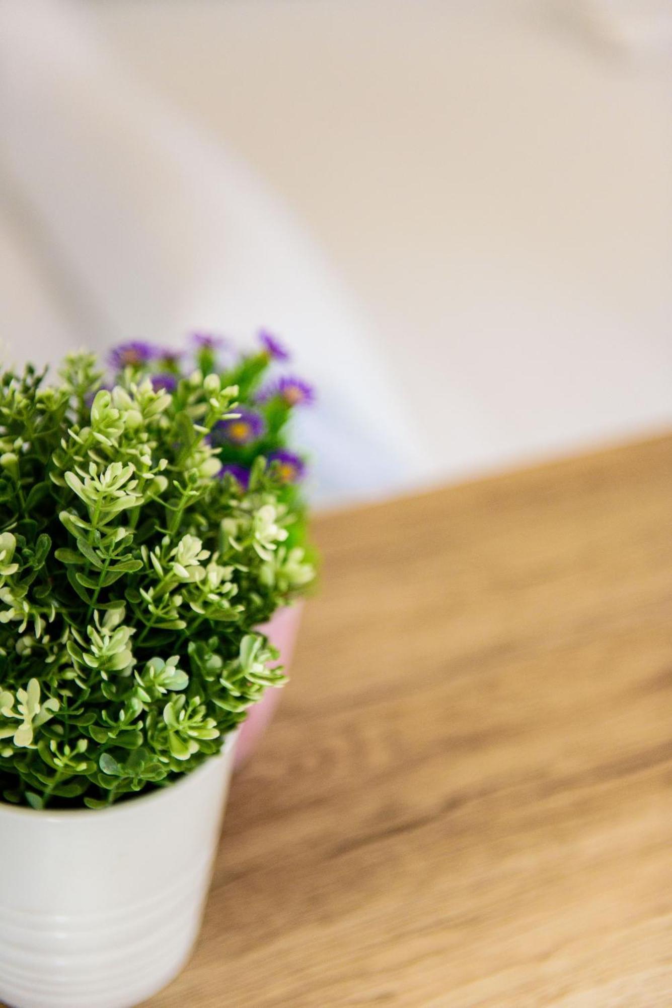 Livingtarifa Apartamento Bianco Zewnętrze zdjęcie